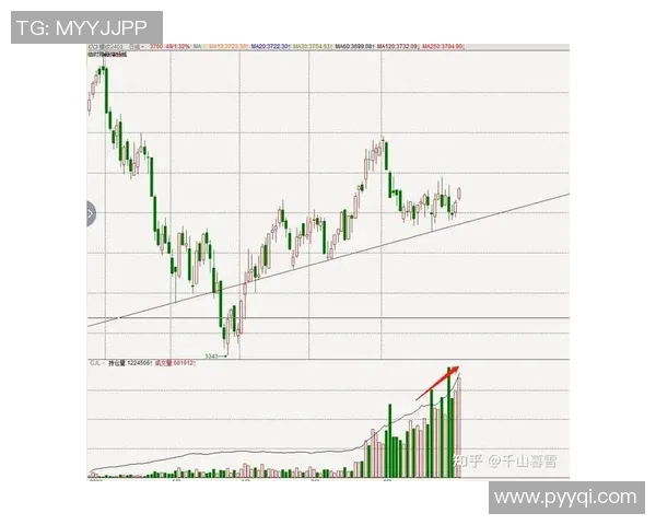 杭州足球队与北京足球队赛后技术分析与战术复盘探讨